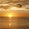 Charming 2 Bed South End Beachfront Condo at Popular Seawinds - جزيرة ماركو