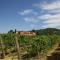 Il Roncal Wine Resort - for Wine Lovers