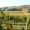 Il Roncal Wine Resort - for Wine Lovers