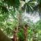 Pumarinri Amazon Lodge