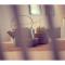 Condo with a breathtaking view - Dubrovník