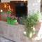 Pasha Suites