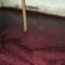 Country house Quinta da Salgueira
