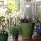 Beautiful, Historic Family Home near Lake Merritt