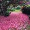 English Gardens - Garden Retreat