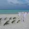 Blue Wave Hotel Maldives for SURF, FISHING and Beach - Kudahuvadhoo