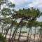 CHEZ CED - Gujan-Mestras / Bassin dArcachon