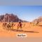 Wadi rum sand Delight camp