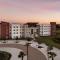 Residence Inn by Marriott Tampa Wesley Chapel - Wesley Chapel