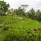 Puri Asri Hotel & Resort - 马格朗