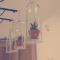 Bercham Vacation House