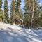 Near Hiking and Skiing Bear Valley Cabin!