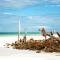 Lantana Galu Beach