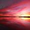 Paradise on Lake Harris Apt #202 - ليسبورغ