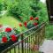 Holiday house with a parking space Sunger, Gorski kotar - 20655