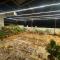 Visitors Lounge by MMG - 2&3BHK Furnished - Rd 12 Banjara Hills