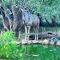 Turaco Lodge