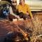 Wadi rum sand Delight camp