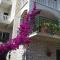 Apartment in Bol with sea view, terrace, air conditioning, WiFi 5121-2