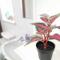 Large 3 Bed Flat, Free Parking
