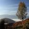 A house with the view - Srednja Vas v Bohinju