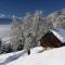 A house with the view - Srednja Vas v Bohinju