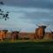 Oystercatcher - Converted luxury steading - بيرث