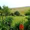 Paradise View Guesthouse