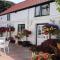 Cider Cottage - Sidmouth