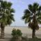 Rose Dead Sea Neve Zohar Foto: Rose Dead Sea Neve Zohar