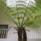 Augustina Home