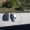 Brahma Kamal