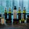 Europe Haguenau – Hotel & Spa - Haguenau