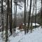 Wonderful cabin tucked in the woods /w Hot tub - Mountain City