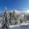 Le cocon du Bettex 1400 - Cozy Apt near Mont Blanc