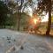 le Gecko en Provence