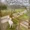 Lowgingerfield Shepherd Hut - Richmond