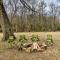 20-Acre Broken Bow Vacation Rental with Grill! - Broken Bow