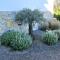 Kvarner Luxus Suite am Meer