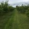Orchard Luxe Glamping Pod