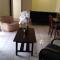 Apartment Downtown Cananea
