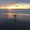 Dunes View, Cottage1, Dunnetbay accommodation