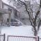 Apartman Purga