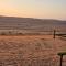 Bedouin nights Camp