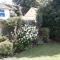 3 Lymbrook Cottage - Lyme Regis