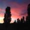 Glen Waverly Farmstay
