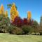 Glen Waverly Farmstay