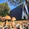 Forest A-frame & Max River chalet with Jacuzzi and River-Porumbacu