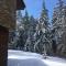 Borovets Chalets - Borovets