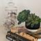 Treetops on Tramican - Ocean View - sleeps 10 - Пойнт-Лукаут